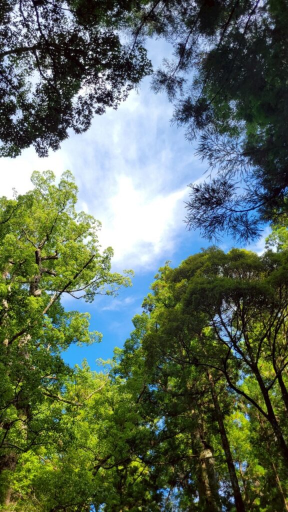 風景候補