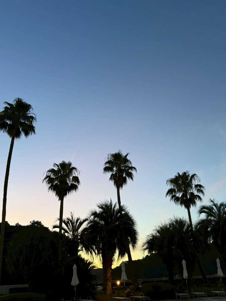 風景候補2