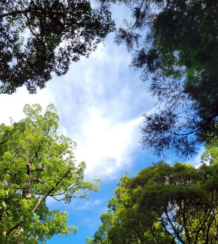 安定と成長の事業展開